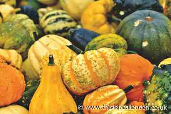 The waste at Halloween, and why it should be prevented.
