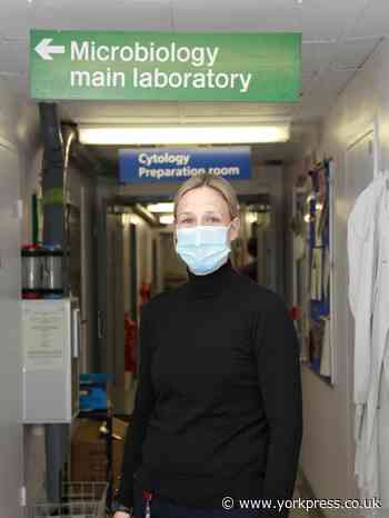 York Hospital takes on more staff in Covid-testing lab