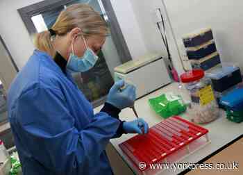 Inside York Hospital's coronavirus testing lab