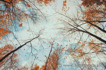 The best VSCO filters, from classic film to cinematic