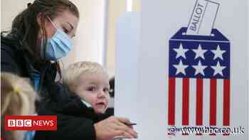 US election 2020: How many Americans have voted early so far?