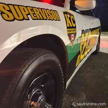 Pumpkin Patrol Happening Tomorrow Night