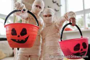 Munson Medical Physician Talks Health Guidelines for a Safe Halloween - 9&10 News
