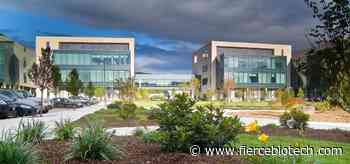 Regeneron's COVID-19 antibody cuts medical visits in phase 2/3 trial - FierceBiotech