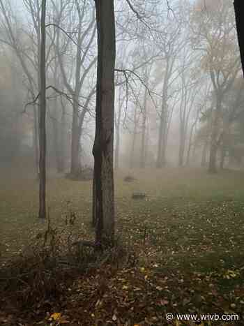 Friday Photos: Spooky and snowy