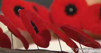Lethbridge Legion launches poppy campaign online - Global News