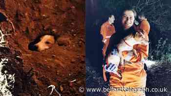 Dog and fox rescued after being stuck in rabbit hole for 12 hours