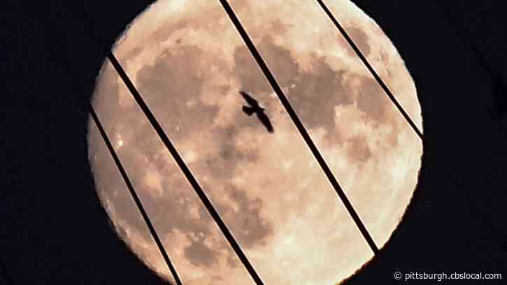Rare Halloween ‘Blue Moon’ To Light Up The Sky
