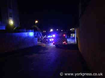 999 services attend 'boat in distress' near Millennium Bridge