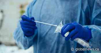 Saskatchewan coronavirus numbers jump to 742 active cases, 76 new infections