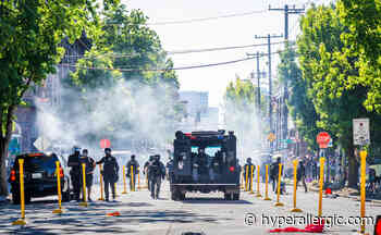 Forensic Architecture and Bellingcat Map Police Brutality at Black Lives Matter Protests - Hyperallergic