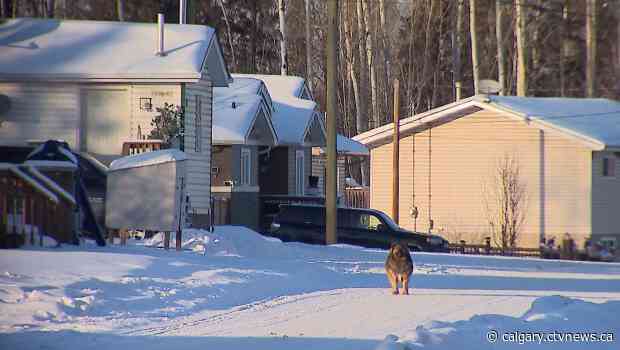 Alberta reports highest numbers of confirmed COVID-19 cases on reserves in Canada