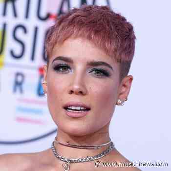 Halsey wins restraining order against guitar-smashing fan
