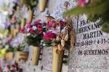 Cuál es la diferencia entre el Día de Todos los Santos y el Día de los Difuntos - 65ymas.com