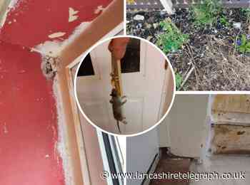 Mice in the kitchen and damp in the bedroom - Blackburn mum's housing complaints took MONTHS to fix
