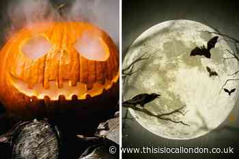 Halloween: Why do we celebrate it and where did the modern traditions come from?