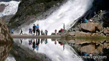 Road, logging restrictions to end in largest national forest