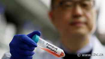 Why our immune system might be better at fighting COVID-19 than we think