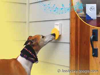 Save 13% on the Pebble Smart® Doggie Doorbell (Twin Pack)