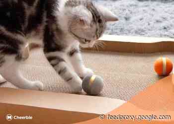 Cheerble scratch and catch interactive cat toy
