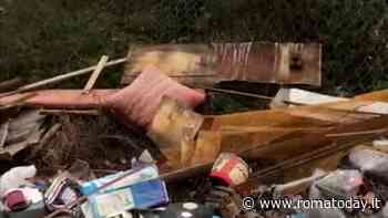 Settecamini: via del Tecnopolo è una giungla tra erba alta e discariche a cielo aperto - RomaToday