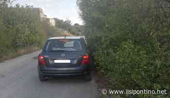 Strada per la montagna: erba troppo alta e rischio incidenti elevato - ilsipontino.net