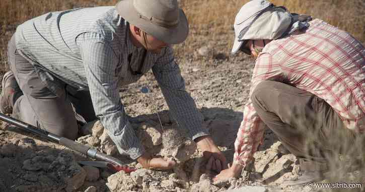 Utah scientists get dirty to save threatened cactus