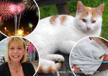 Owner's plea after her cat died after firework scare