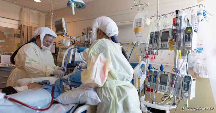 Margaret Pabst Battin: Those denied care still deserve consideration