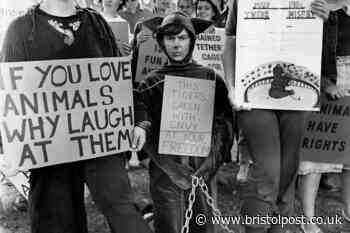 16 pictures which capture protests in Bristol over the years