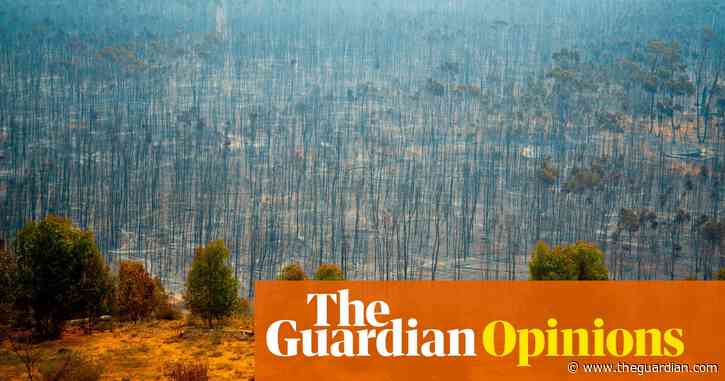 Born in the ice age, humankind now faces the age of fire – and Australia is on the frontline | Tom Griffiths