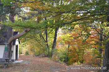 Reichenau an der Rax, Spaziergänge: Marienplatz und Matthiaskapelle - meinbezirk.at