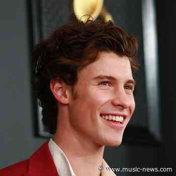 Shawn Mendes: 'Lockdown has been abnormal but nice for me and Camila'