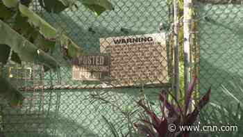 US man mauled by leopard after paying $150 for a 'full-contact experience'