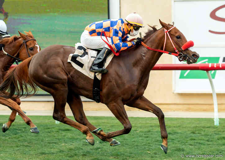 Del Mar: Jockey Mike Smith to skip Breeders’ Cup next weekend