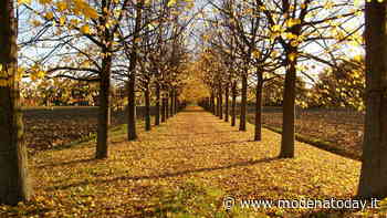 Meteo Modena, le previsioni per il weekend 31 ottobre-1 novembre - ModenaToday