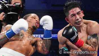 'Tank' Davis wipes out Santa Cruz with huge KO