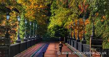 The only times you will be allowed to leave your house under new lockdown