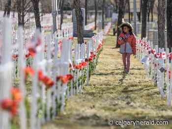 Legions expand digital poppy donation campaign - Calgary Herald