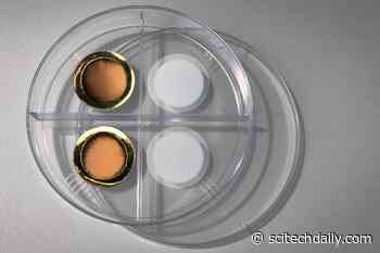 MIT Developed a Controllable Membrane to Pull Carbon Dioxide Out of Exhaust Streams