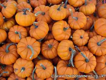 Don't waste those pumpkins and try these delicious recipes instead
