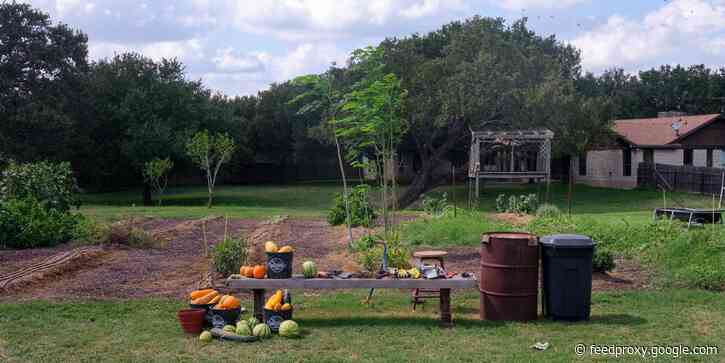 Employees at global software firm Zoho have turned the company's Austin headquarters into a fully functioning farm. It's become a respite during the pandemic, and could serve as a model for a new way of working.