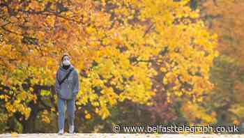 ‘Unusually mild’ November weather to be replaced by cooler temperatures