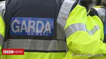 Dublin: Murder investigation launched into mother and children deaths