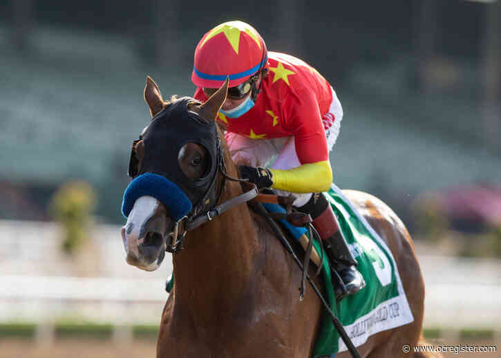Top contenders for Horse of the Year head into Breeders’ Cup with a lot at stake