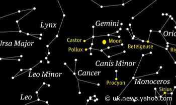 Starwatch: look either side of the moon to find Gemini, the twins