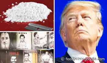 Donald Trump: Pablo Escobar associate's 'bizarre plan to win war on drugs' unveiled