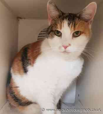 These animals need a new home, can you help?