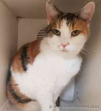 These animals need a new home, can you help?