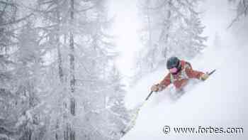 Just Don’t Do It: Five Reasons Not To Become An Entrepreneur - Forbes